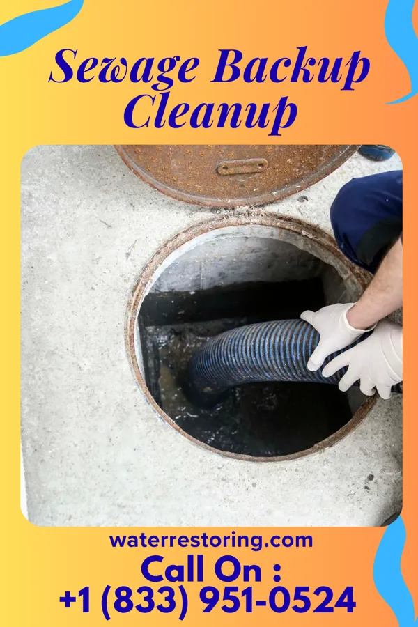 Sewage Backup Cleanup in Almena, KS