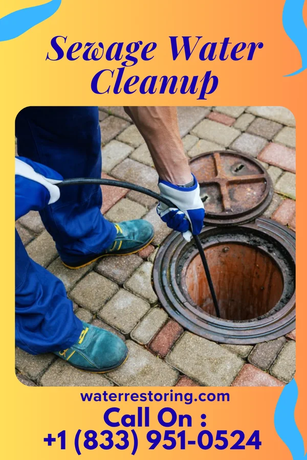 Sewage Water Cleanup in Almena, KS